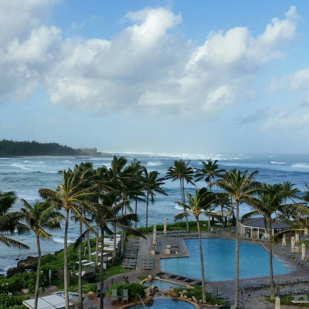 Meet your Posher, Caroline